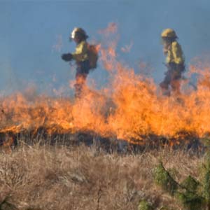 Brandschutz in der Landwirtschaft